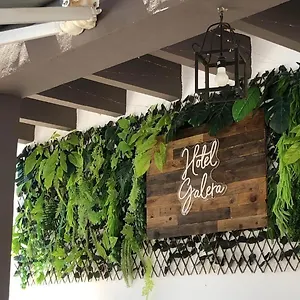 https://hotel-galera-18840.es-andalucia.com